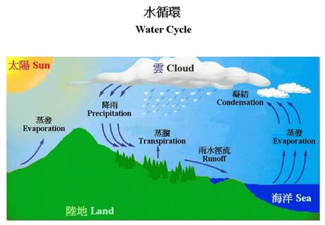 precipitation 中文